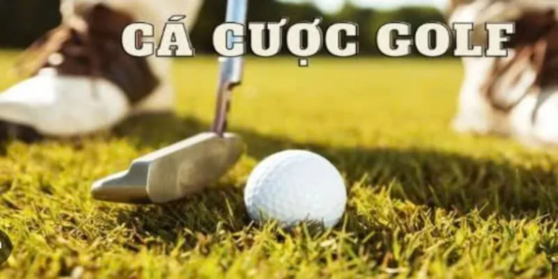 Các luật chơi và cách tính điểm của bộ môn thể thao golf