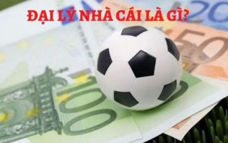 Hướng dẫn các bước đăng ký đại lý Vinbet