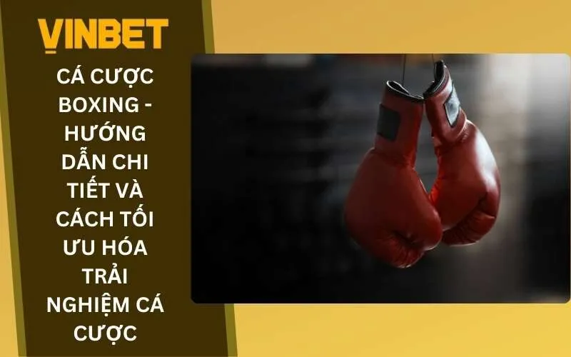 Cá cược Boxing - Hướng dẫn chi tiết và cách tối ưu hóa trải nghiệm cá cược