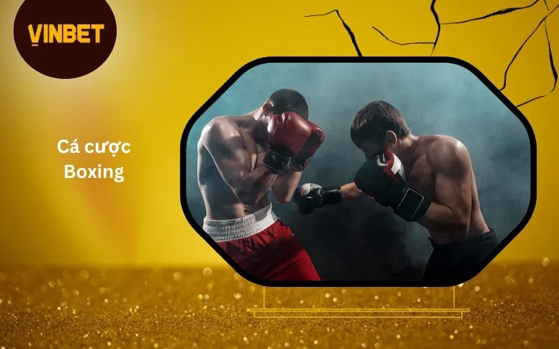 Cá cược Boxing